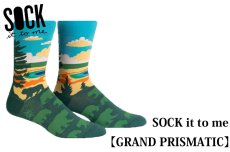 画像1: SOCK it to me　GRAND PRISMATIC　メンズ　フリーサイズ (1)